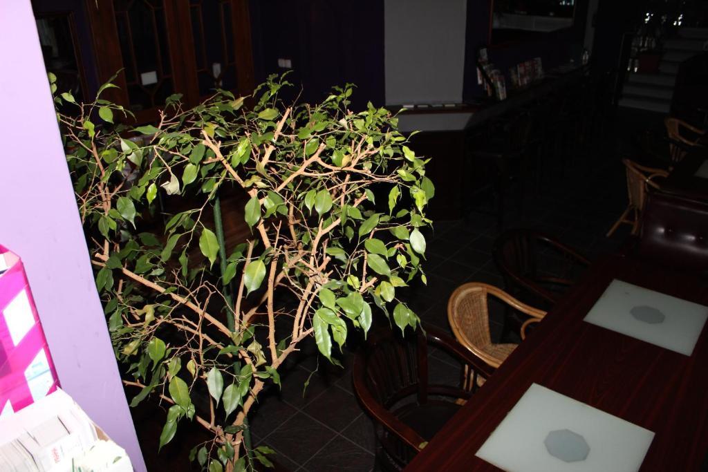 Club Hotel Praha ภายนอก รูปภาพ